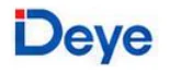 DEYE TECHNOLOGY
